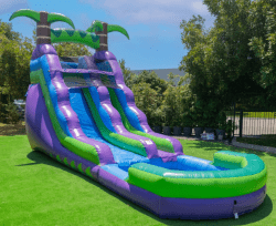 16ft Tropical Slide Wet/Dry